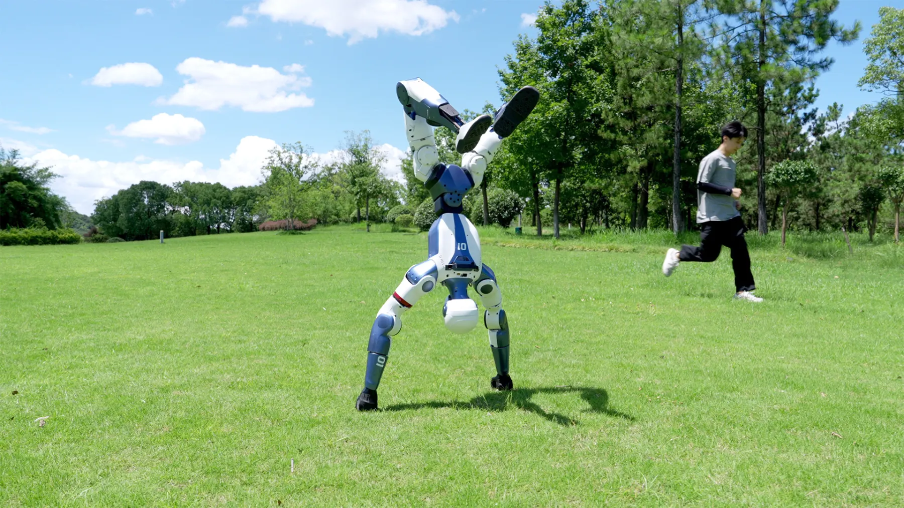 PALBOT Lite humanoid robot